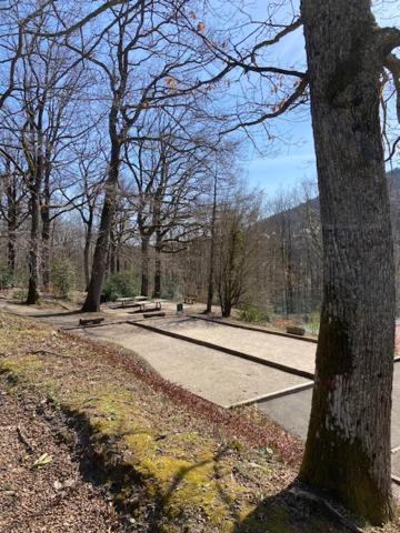 Le Cottage Pres Obernai Klingenthal Eksteriør bilde